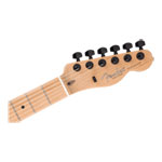Fender Limited Edition American Professional II Telecaster HH - Smoke