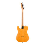 Fender Limited Edition American Professional II Telecaster HH - Aged Natural