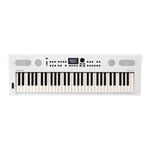 Roland GO:KEYS 5 Music Creation Keyboard (White)