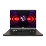 MSI Vector 17 HX A14V 17" 240Hz QHD+ Core i9 RTX 4080 Open Box Gaming Laptop