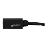 Palmer AoC Loom XLR F