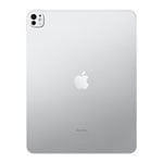 Apple iPad Pro 13" 256GB WiFi Tablet with Standard Glass - Silver
