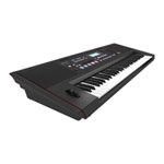 (Open Box) Roland E-X50 Entertainment Keyboard