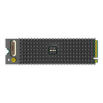 Magewell Eco Capture AIO M.2