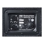 EBS - NeoLine 210 Bass Cab