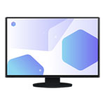 EIZO FlexScan EV2485-BK 24" Monitor