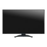 EIZO FlexScan 31.5" Monitor