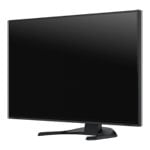 EIZO FlexScan 31.5" Monitor