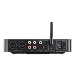 FiiO K13 Desktop R2R DAC and Headphone Amplifier (Black)