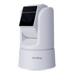 BirdDog O4 4K60 Outdoor PTZ Camera (White)