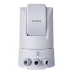 BirdDog O4 4K60 Outdoor PTZ Camera (White)