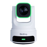 BirdDog X4E Ultra PTZ Camera (White)