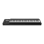 Expressive E Osmose 61 Polyphonic Synthesizer