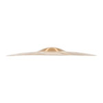 Meinl 10" Pure Alloy Extra Hammered Splash Cymbal