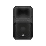 Electrovoice EVIVA 15P 15" Loudspeaker