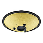 Meinl Sonic Energy 10" Compact Steel Tongue Drum, D Minor, 8 Notes, 432 Hz, Gold
