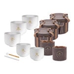 Meinl Sonic Energy 5-piece TCM Crystal Singing Bowl Elements Set