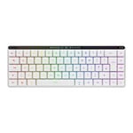 Open Box ASUS M603 ROG FALCHION RX LOW PROFILE Wired/Wireless UK Mechanical Gaming Keyboard