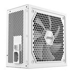 MSI MAG A1000GL PCIE5 WHITE 1000W Fully Modular 80+ Gold ATX 3.1 Black Power Supply