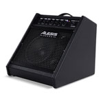 Alesis Nitro Amp Pro Floor Monitor