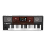 Korg Pa700 Oriental Professional Arranger Keyboard (61 Keys)
