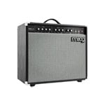 Moog Model 112 Instrument Amp