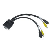 Matrox CAB-L60-2XTVF Graphics Display Cable