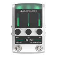 Aalberg Audio ROM Reverb Guitar Pedal