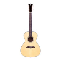 Levinson Sangamon LS-23 Guitar
