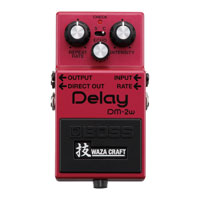 Boss DM-2W Delay Guitar Pedal
