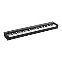 Korg D1 Digital Piano