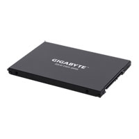 256GB Gigabyte UD PRO, 2.5