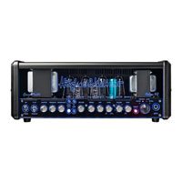 Hughes and Kettner Grandmeister 40 Deluxe Amp Head