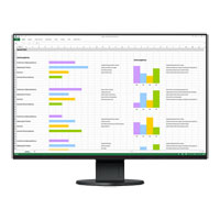 EIZO FlexScan EV2456-BK
