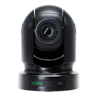 BirdDog Eyes P200 NDI PTZ Camera (Black)
