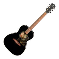 Levinson Acoustic LG-24B MVT