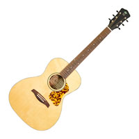 Levinson Acoustic LG-24N MVT