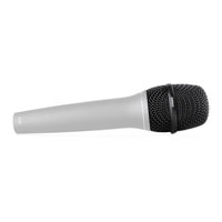 DPA 2028 Supercardioid Vocal Microphone (SE2 Adapter)