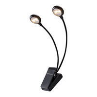 Roland Warm Led Dual Clip Light