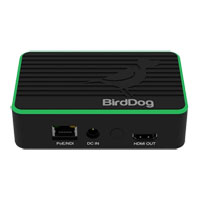 BirdDog Flex 4K Out