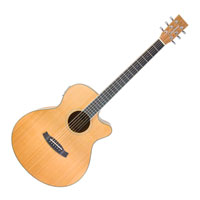 Tanglewood Winterleaf TW9