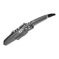 (B-Stock) Roland AE-10 Aerophone - Digital Wind Instrument
