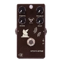 CKK Electronics - Infinite Reverb Stompbox