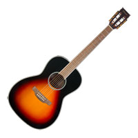 Takamine - New Yorker - Gloss Brown Sunburst