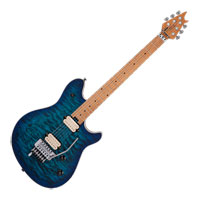 EVH - Wolfgang Special QM - Chlorine Burst