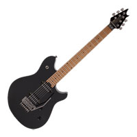 EVH - Wolfgang WG Standard - Gloss Black