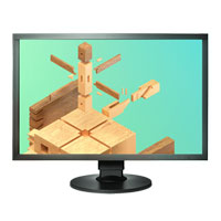 EIZO ColorEdge 24" Monitor