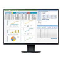 EIZO FlexScan 24" Monitor