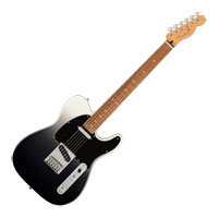 Fender - Player Plus Tele - Silver Smoke