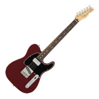 Fender - Am Perf Tele Hum - Aubergine